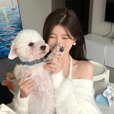 首尔假期